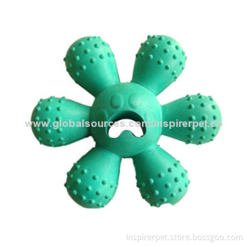 Rubber Chew Crazy Fun Flower Play Toy